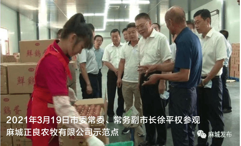 新闻标题2