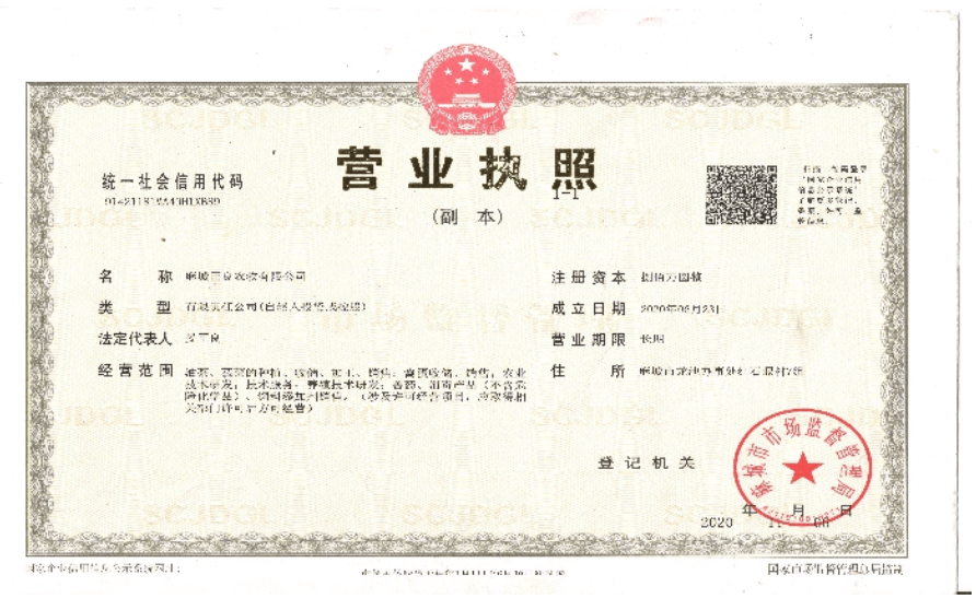 新闻标题2