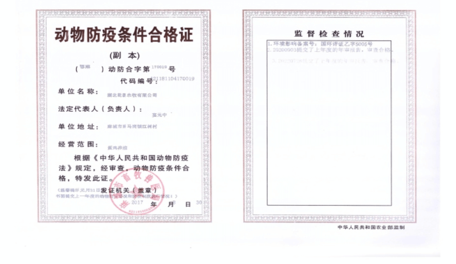 新闻标题2